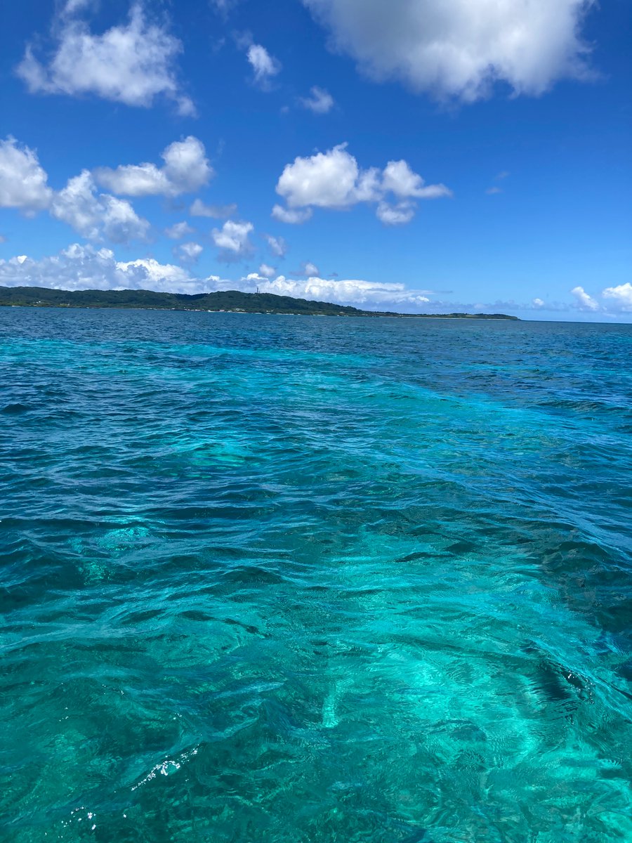nocoguma's tweet photo. ひえひえのビールと海と魚と果物の島に今年もやってきました（泳ぎ釣りでめちゃくちゃ釣れたw https://t.co/rwP4QuwAHt