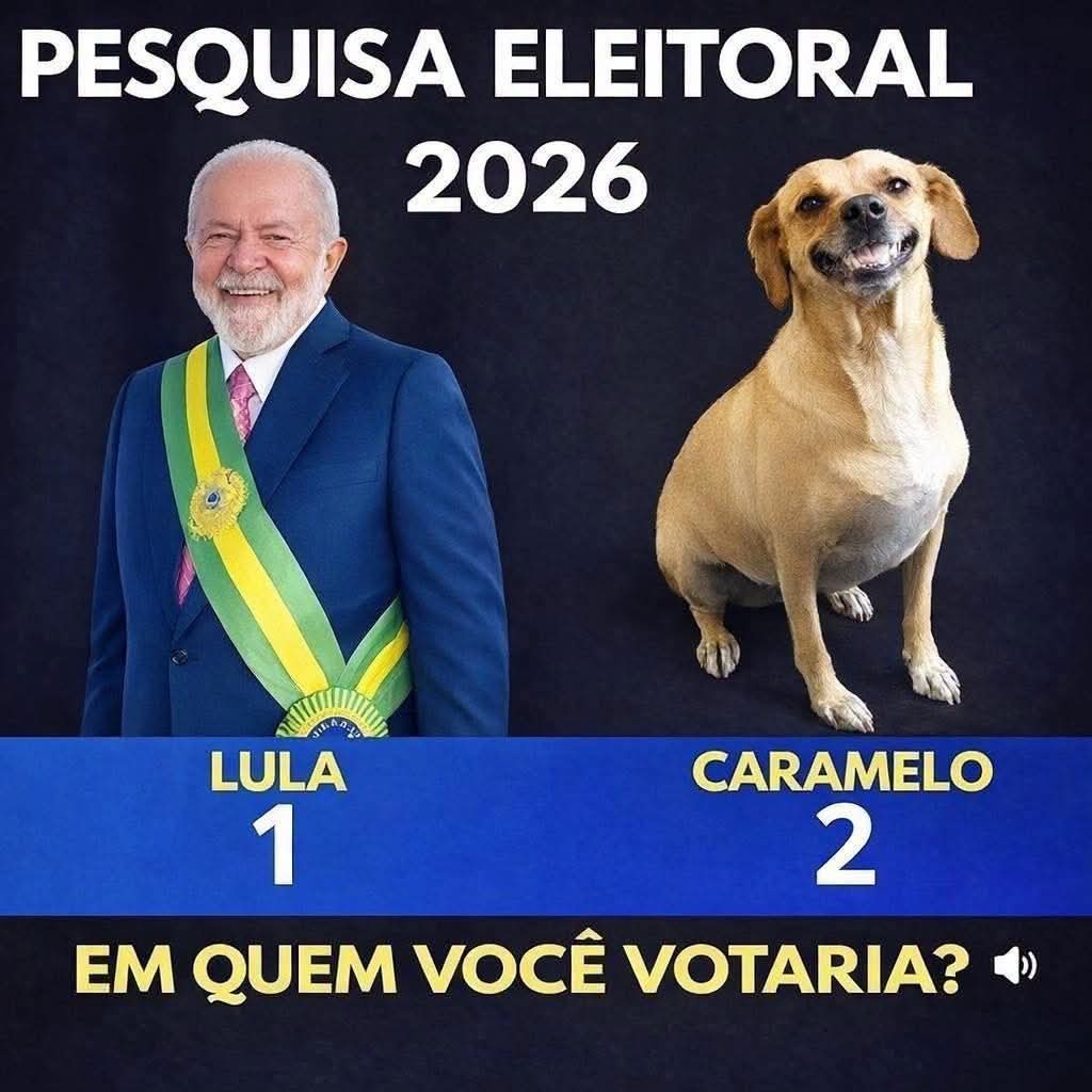RogerioRonasc's tweet photo. Eu sou mais o Caramelo, e você...? https://t.co/iBDEjQRwIQ