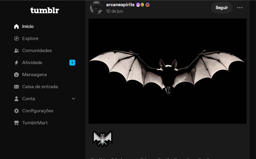MOdlavide's tweet photo. Abri o Tumblr para fazer uma capa de vampiro. 

A primeira coisa que apareceu foi um morcego.

É o destino. https://t.co/1BA8zPFd8X