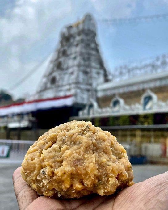 tweet_aneri's tweet photo. #TTD recorded its highest-ever monthly sale of 1,26,81,805 Srivari Laddus in June 2026.
June sales were up 6.37% compared to June 2025 & 23.55% higher than June 2024. TTD said it ramped up production to ensure uninterrupted distribution of the sacred prasadam to devotees https://t.co/kwHs5VnPAm