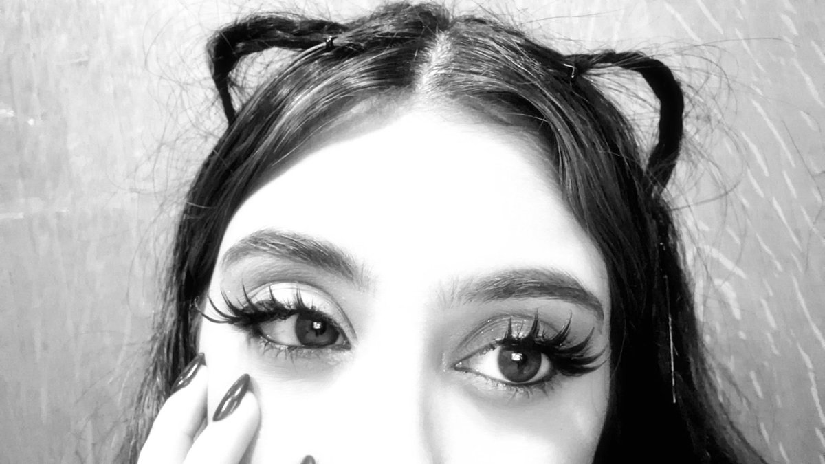lily⁷ tweet media