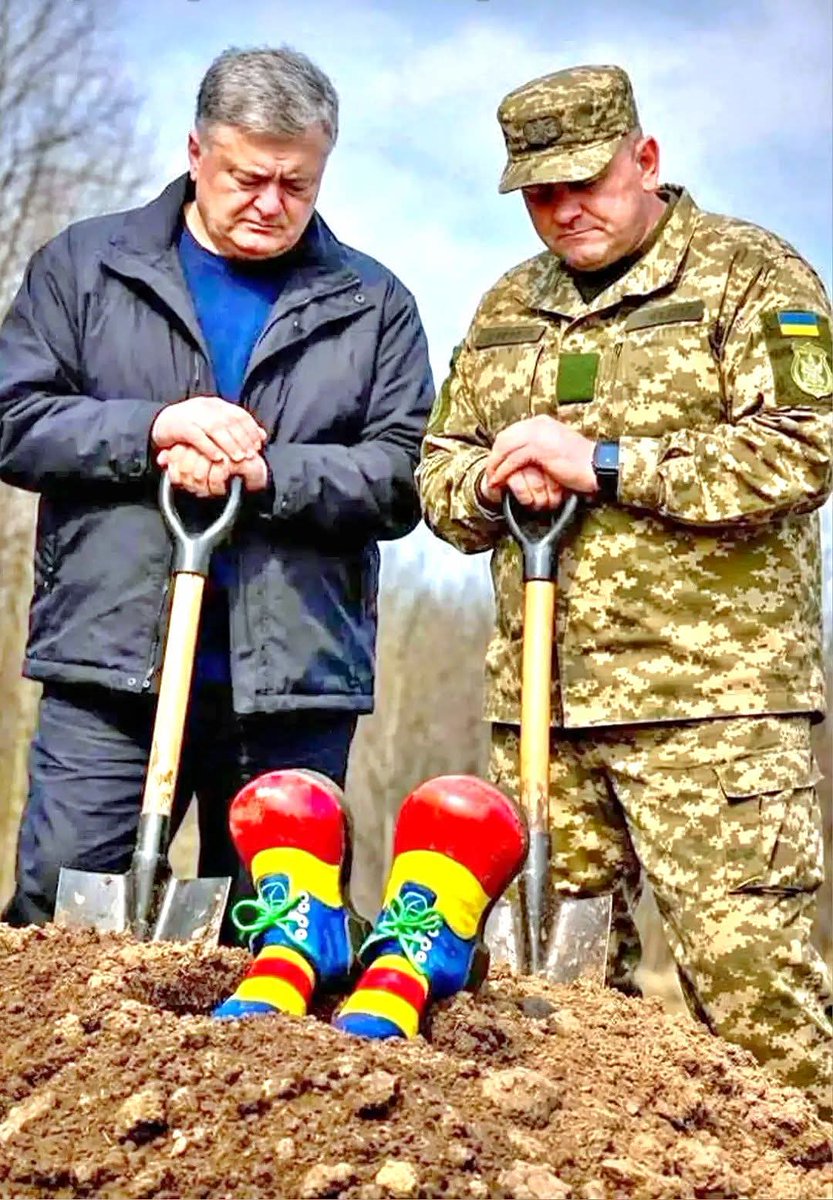 Alex Mykolaiv tweet media