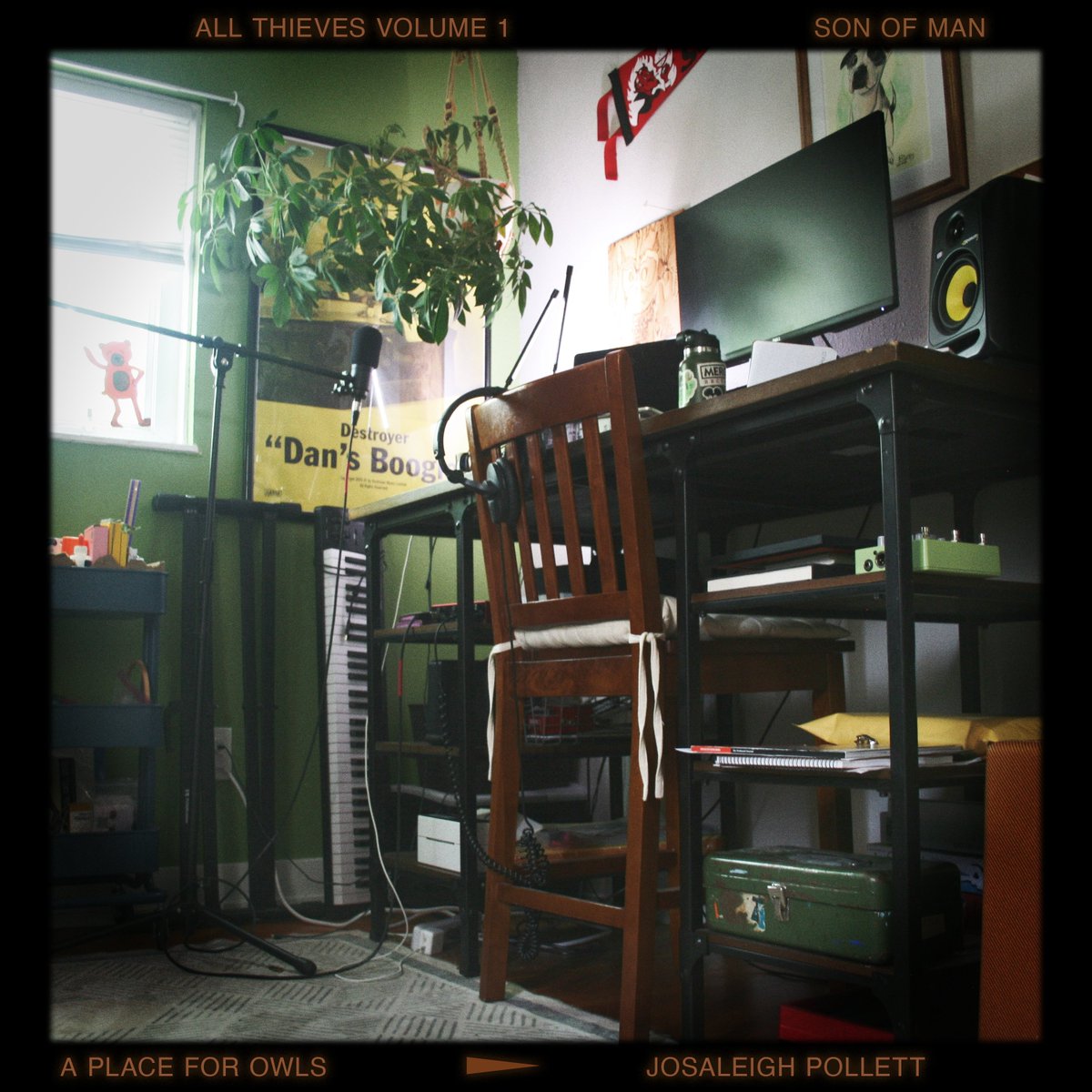 aplaceforowls tweet picture