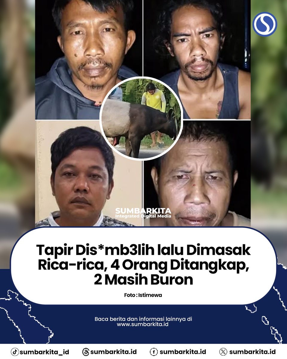 sumbarkitaid_'s tweet photo. Polisi mengungkap sebagian daging tapir (Tapirus indicus) yang dibunuh di kawasan Register 45, Kabupaten Mesuji, Lampung, sempat dimasak rica-rica oleh para pelaku.

Dalam kasus ini, empat orang telah ditangkap, sementara dua pelaku lainnya masih diburu. https://t.co/13FXyaXPeK