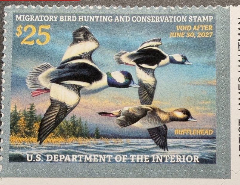 RodeoProfessor's tweet photo. America 250 | the Federal Duck Stamp, mandatory for waterfowl hunters, which has raised over a billion dollars for restoration or purchase of 6 million acres of waterfowl habitat. Even if you’re not a hunter, Patriots buy duck stamps. https://t.co/bllEdjbMwd