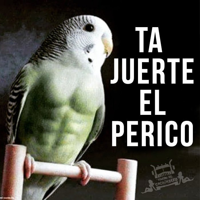 WTR4132's tweet photo. @nacional_memes https://t.co/WIp38UmGYF