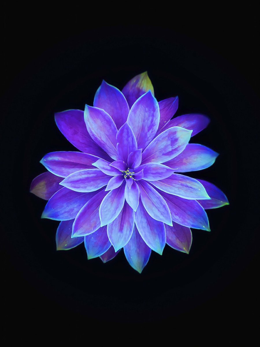 MyPowertalk's tweet photo. Stress is energy scattered across too many moments in time and space at once.
 
Return to this one thing.
 
The only thing you can truly control is where you place your awareness and how you breathe.
 
Let everything else wait. ♥️ https://t.co/ZCk7d2se1H