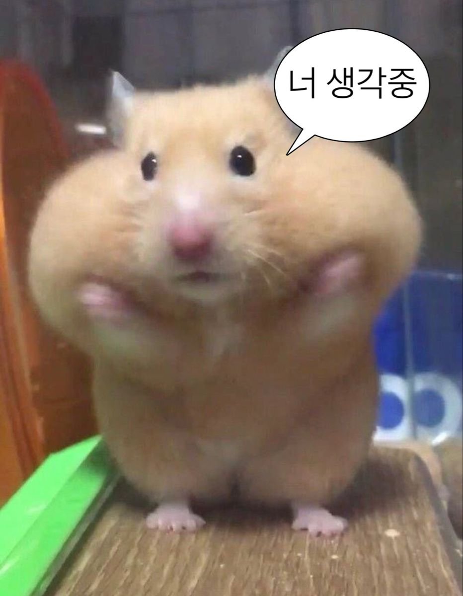 mangii____'s tweet photo. https://t.co/LcjawFc4U0