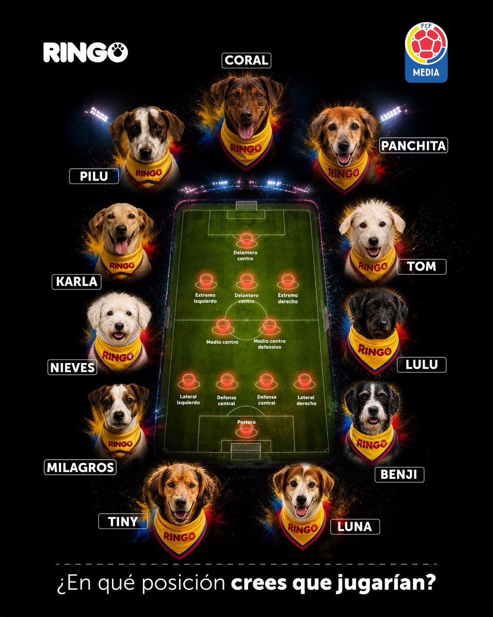 efectoringo's tweet photo. ¡Tenemos nómina de lujo para el equipo más peludo de este año! 🐕✨ Estos 11 cracks están listos para jugar el mejor partido de su vida.
La pregunta es... ¿quién va a la portería y quién mete los golazos de delantero? ⚽

Ponte la camiseta de director técnico y arma tu estrategia. Déjanos en los comentarios la posición ideal de estos campeones. 👇🐾