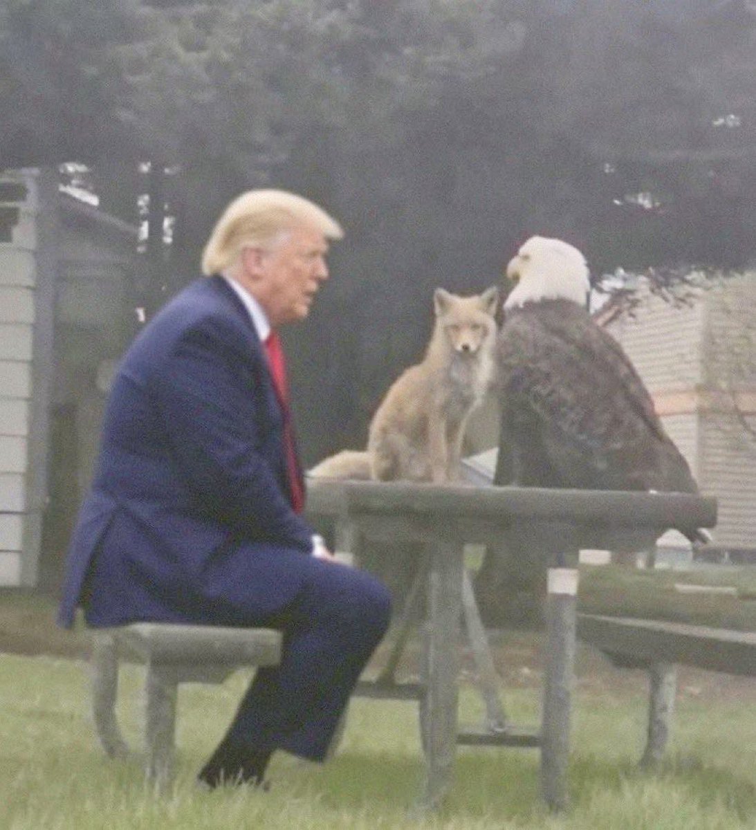 PinoAmericano's tweet photo. “Have you ever tried McDonald’s fries? They’re pretty good. Not as good as they used to be. You know I used to make them. They were great. Now, not so much. I should probably make them again. They won’t be great unless I make them.” https://t.co/HwWkXIEJFC