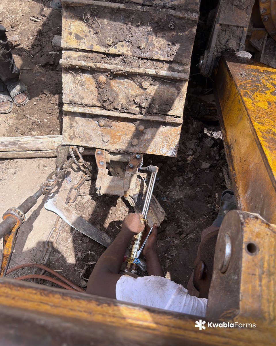 kwablafarms's tweet photo. The repair continues as the welders move across the newly exposed sections of the bulldozer’s damaged track. 

Every completed section moves the machine closer to returning to work. 

#farmlife #farm #organicfarming #farminginafrica #farminginghana #KwablaFarms https://t.co/wTYgXZyrQk