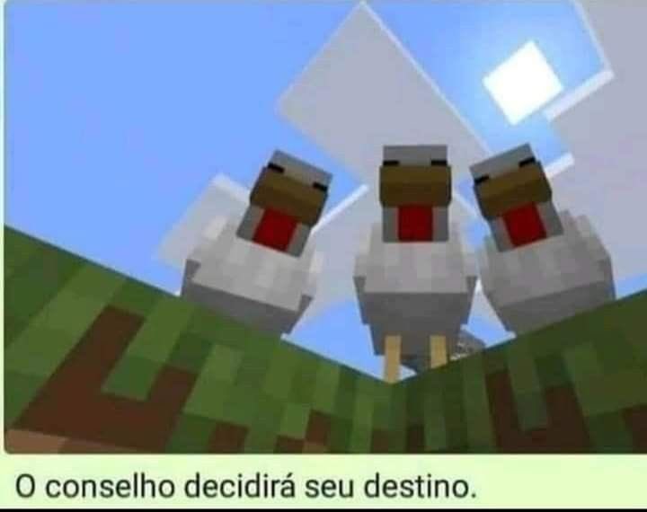 shitpostverdade's tweet photo. https://t.co/eneO4yxL4C