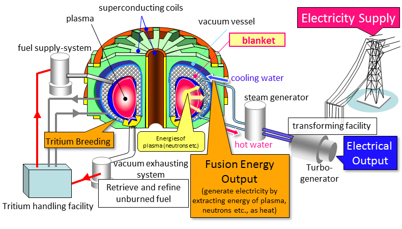 Arifidyan's tweet photo. Breeding blanket, tritium is incredibly scarce and decays quickly, future fusion plants must be completely self-sufficient. Bikin. #space #nuclear #Indonesia https://t.co/4TSWqtutTh