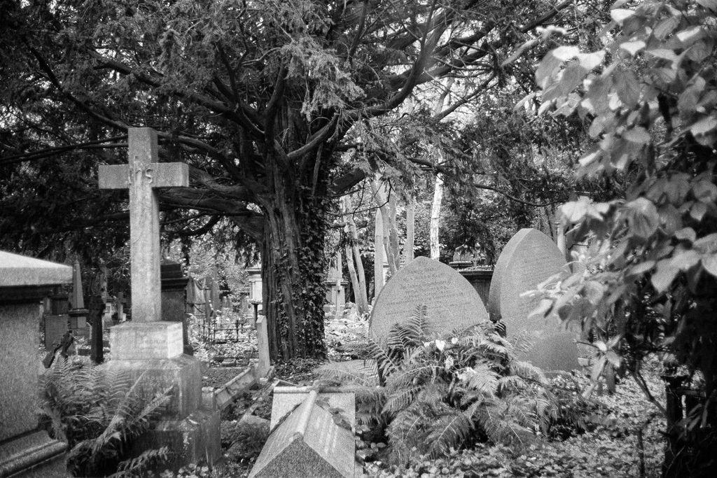 ObsidianUrbex's tweet photo. Final resting place
π· Zenit-E π Mir-1b 37mm
ποΈ Kosmo Agent Shadow #35mm
Highgate Cemetery, London
#Highgate #FilmPhotography #London https://t.co/UqyfONFiba