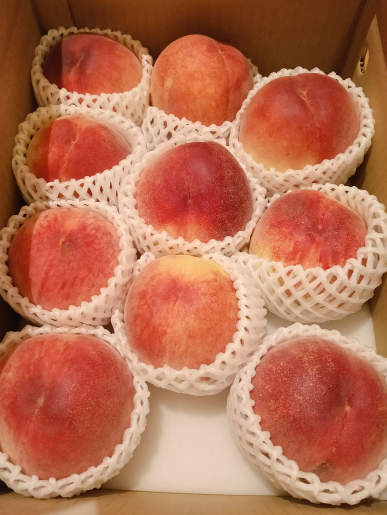 Mt_Aoshi's tweet photo. ふるさと納税で、笛吹市から桃が到着。3kg12,000円。
傷んでいる部分もあるけど美味。また頼んでも良いかも🤔

封筒は溜まりすぎて、もはや開ける気力が湧かない🙄 https://t.co/bvnodZKcF5
