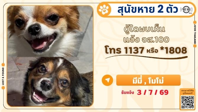 js100radio's tweet photo. สุนัขหาย 2 ตัว จากหมู่บ้านอิ่มอัมพร 4 ซ.ราชพฤกษ์ 8 เขตตลิ่งชัน ผู้ใดพบเห็นแจ้ง JS100 โทร *1808 หรือ 1137

รายละเอียดเพิ่มเติม : https://t.co/2n1p4LqbW1

#สุนัขหาย #ตามหาสุนัขหาย #JS100 https://t.co/vAIlqHWdNj
