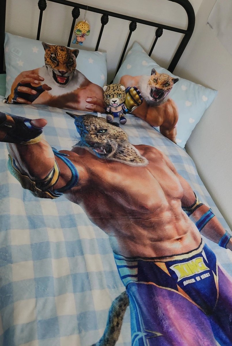 iluvkingtekken's tweet photo. bedroom of a 19 year old man https://t.co/8ZnQyT4e4F