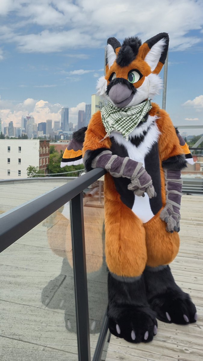 aVentureBirb's tweet photo. What's that you hear cawwing with excitement from the rooftop? 

It's me! Venture is now a complete fullsuit thanks to @Eelowyn (Dragons Den Fursuits) 

A very happy #FursuitFriday today! ^>^ https://t.co/Q1qmk2qeyO