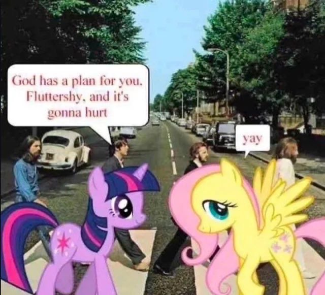 fetticayke's tweet photo. ive felt like fluttershy lately https://t.co/R3f2aDPmv7