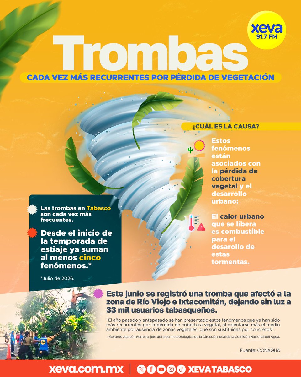 XEVATabasco's tweet photo. 🟡 #InfoVA | 🌪️🌳 ¡Alerta en Tabasco!
🌪️ Las #trombas son cada vez más frecuentes y especialistas señalan que la pérdida de #árboles y el crecimiento urbano acelerado están aumentando el calor en las ciudades, favoreciendo #tormentas más intensas. ⚠️
🌱💚 Reforestar y cuidar las áreas verdes ya no es una opción, ¡es una necesidad para proteger nuestro entorno! 🌱💚
#XEVA #Noticias #Radio #Tabasco