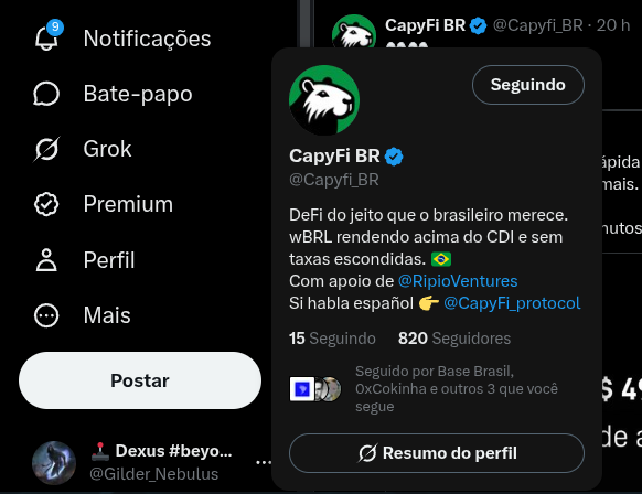 Gilder_Nebulus's tweet photo. @0xCokinha @Capyfi_BR https://t.co/Uf25ClPyVz