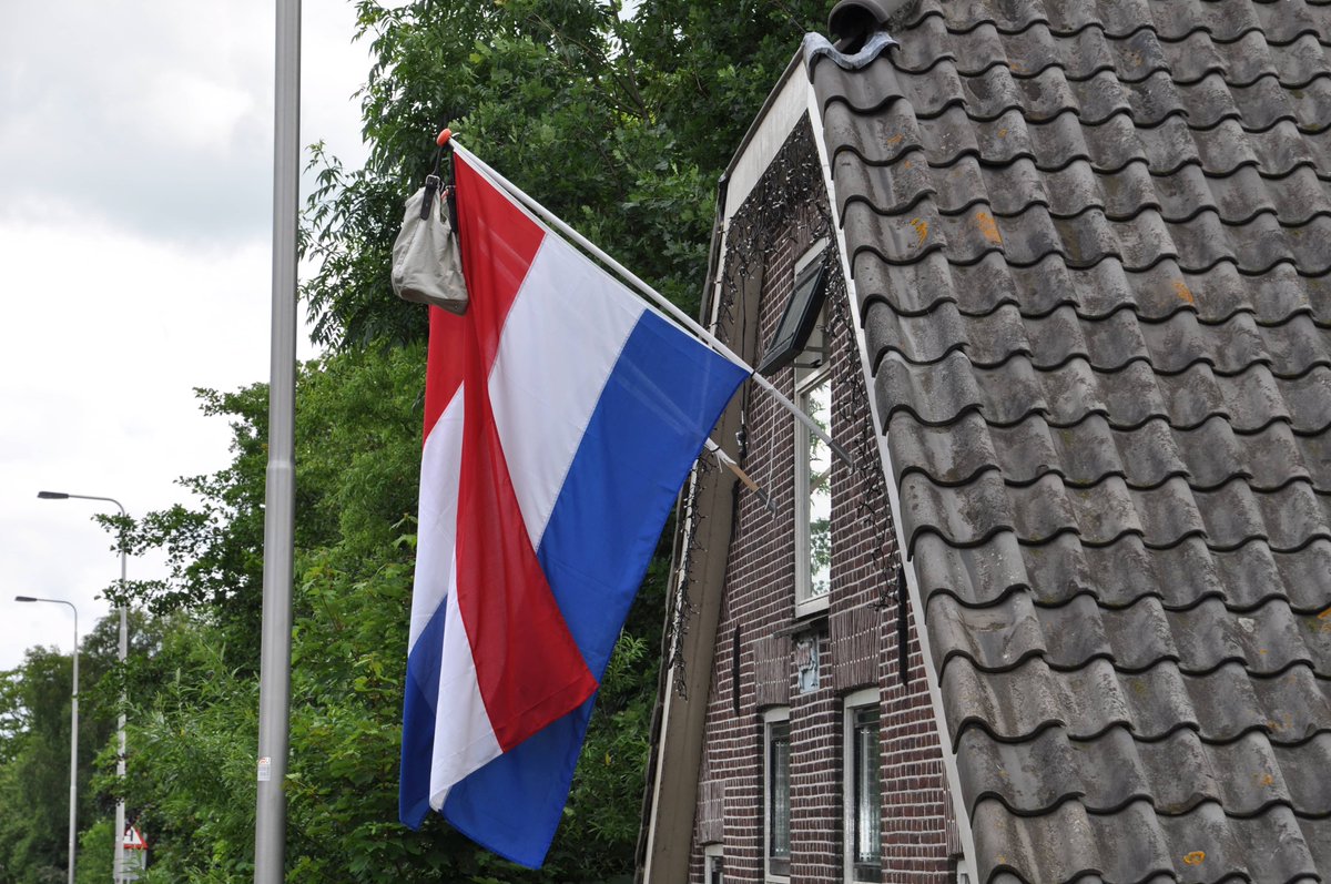 haarlem tweet picture