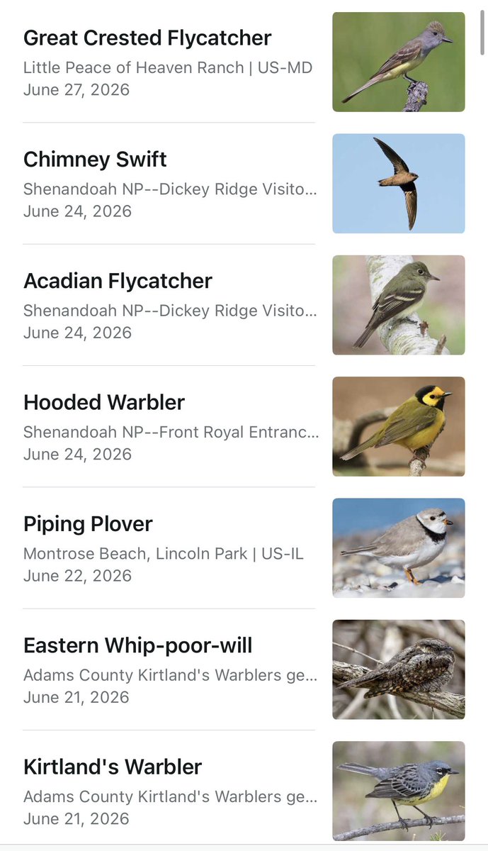 birdmoder's tweet photo. 696 species on my life list! I’m so so close to 700 https://t.co/y2KeTJPt6X