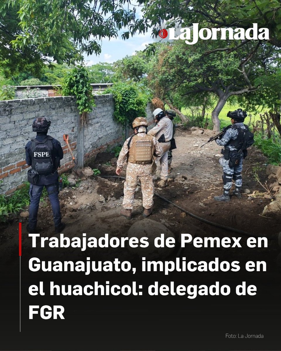 lajornadaonline's tweet photo. El delegado de la Fiscalía General de la República (FGR) en Guanajuato, Juan Francisco Vera Ayala, reveló que el organismo mantiene abiertas carpetas de investigación en contra de trabajadores de Petróleos Mexicanos (Pemex) presuntamente coludidos con el crimen organizado para la perforación de tomas clandestinas y el robo de hidrocarburo en la entidad.

Tras un acto de incineración de narcóticos, el funcionario federal lanzó una advertencia directa al personal implicado, señalando que los operativos forman parte de una estrategia integral para desarticular las redes operativas del llamado "huachicol". Al ser consultada sobre este escenario de complicidad interna, el área de comunicación social de Pemex informó que no emitirá ninguna declaración o postura oficial respecto a las investigaciones que vinculan a sus empleados con los grupos delictivos.

Más información en: https://t.co/SDpJjSINCr