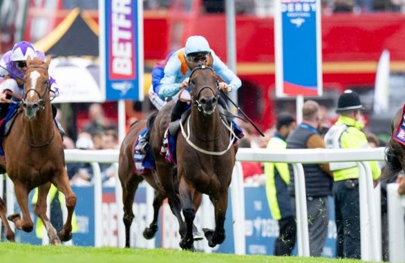 rpbloodstock's tweet photo. Another black-type win for 2025 Derby runner-up Lazy Griff as the four-year-old lands the Listed Coral Marathon in comfortable fashion. 

The Protectionist colt was bred by Gestut Westerberg out of Rock Of Gibraltar mare Linarda and he sold to Jeremy Brummitt for €75,000 at the BBAG September Sale.