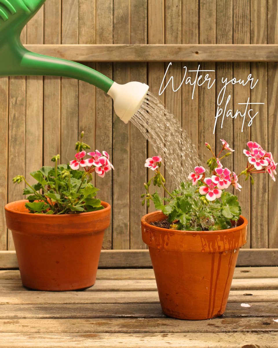 ParkPowerLtd's tweet photo. Despite our rainy spring and start of summer, some of your plants might still need to be watered! 

This is your friendly reminder to check in on your plants and give them some love 🌸🩷 https://t.co/XLV396Fa62