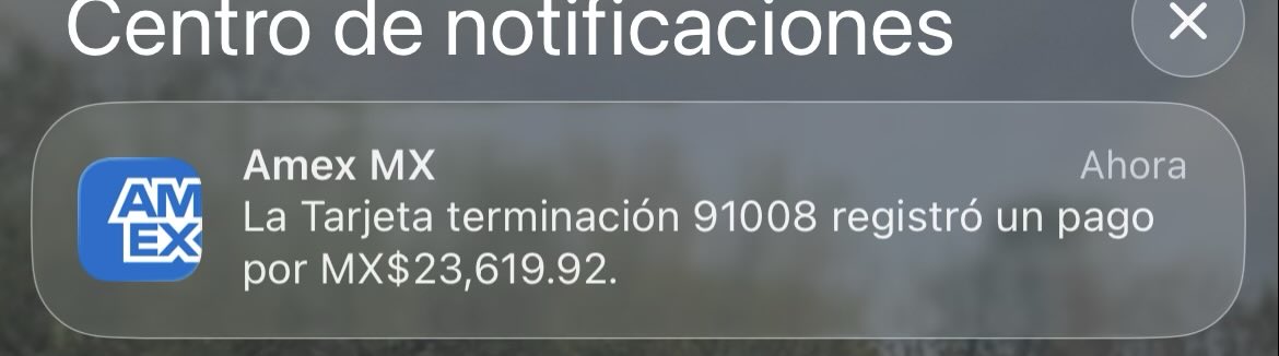Anndyfuuchs's tweet photo. Todo es risa y diversión hasta que toca pagar los gastos del viaje a la playa https://t.co/MAohgRfez7