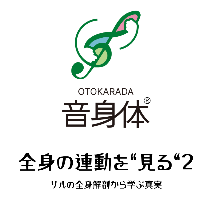 MergeLabo's tweet photo. より思い通りの音楽表現には
身体の深い理解が助けになります

身体の深い理解を手に入れるためには
自らの手や指先の感覚で学ぶ事が
最も思い違いを回避できます

募集はじまりました
先着10名様のみです

「全身の連動を”見る”2」
https://t.co/IBFyQdrZzA

#音楽家
#音楽運動学
#理学療法士 https://t.co/LBViNor8lN