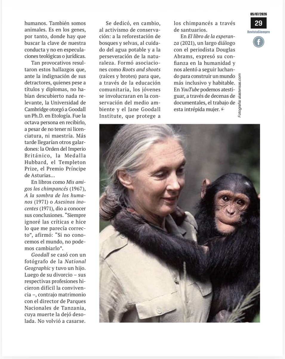 GLaveaga's tweet photo. En mi artículo de @Siempre_revista, escribí sobre Jane Goodall, la primatóloga inglesa que nos enseñó lo parecidos que somos los humanos a los chimpancés. 
Lo dediqué a mi amigo Jesús Murillo Karam: https://t.co/6ZR2L3lStS
