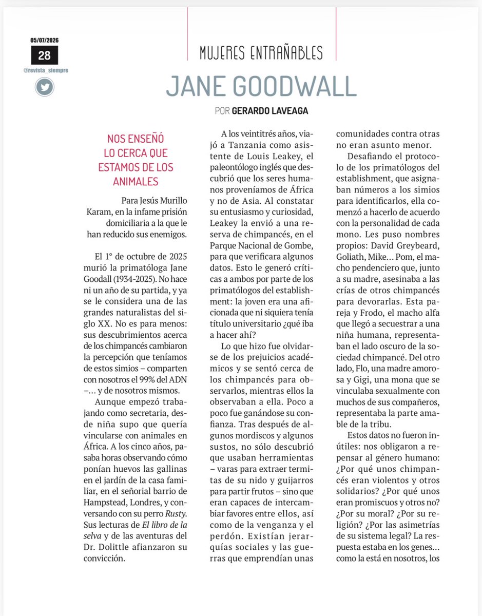GLaveaga's tweet photo. En mi artículo de @Siempre_revista, escribí sobre Jane Goodall, la primatóloga inglesa que nos enseñó lo parecidos que somos los humanos a los chimpancés. 
Lo dediqué a mi amigo Jesús Murillo Karam: https://t.co/6ZR2L3lStS