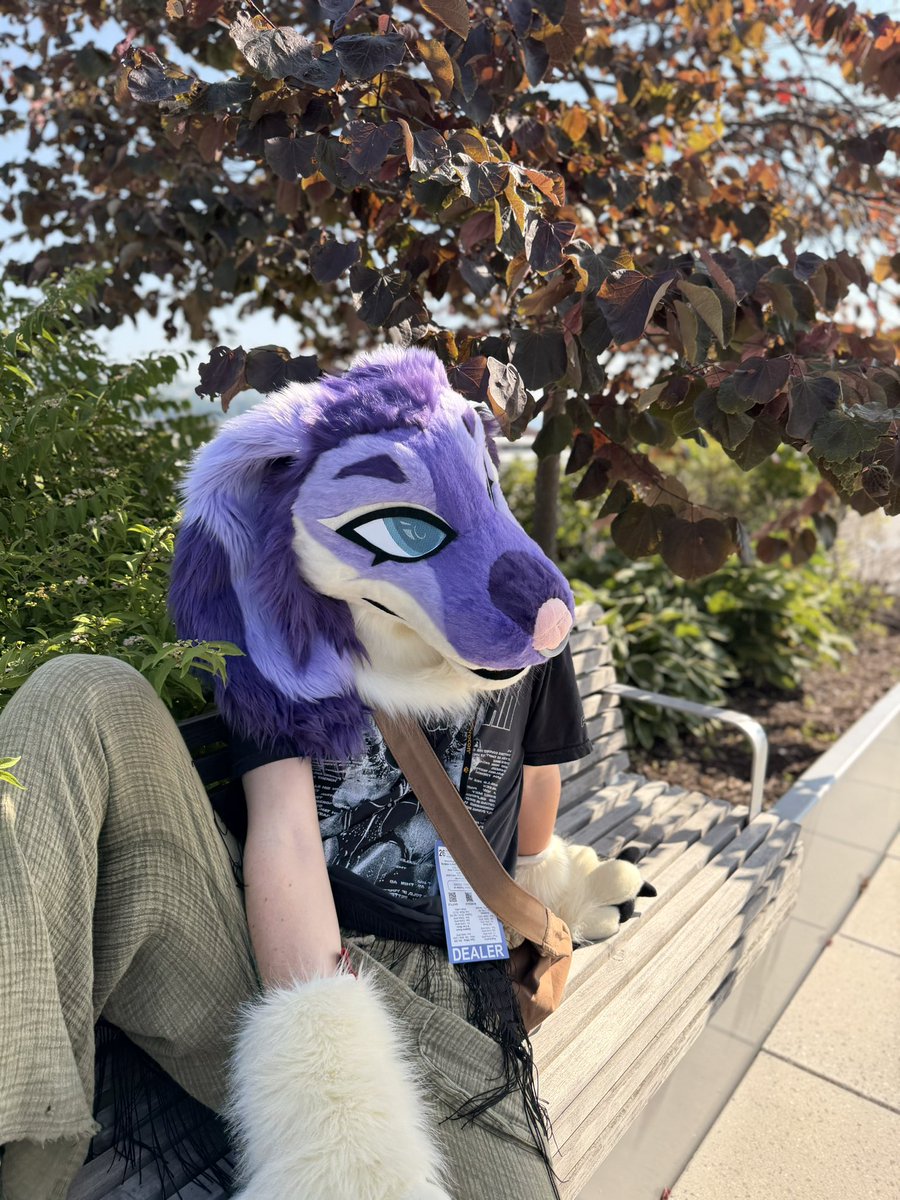 saiintlike's tweet photo. new dawg! https://t.co/89XYZBKtCn