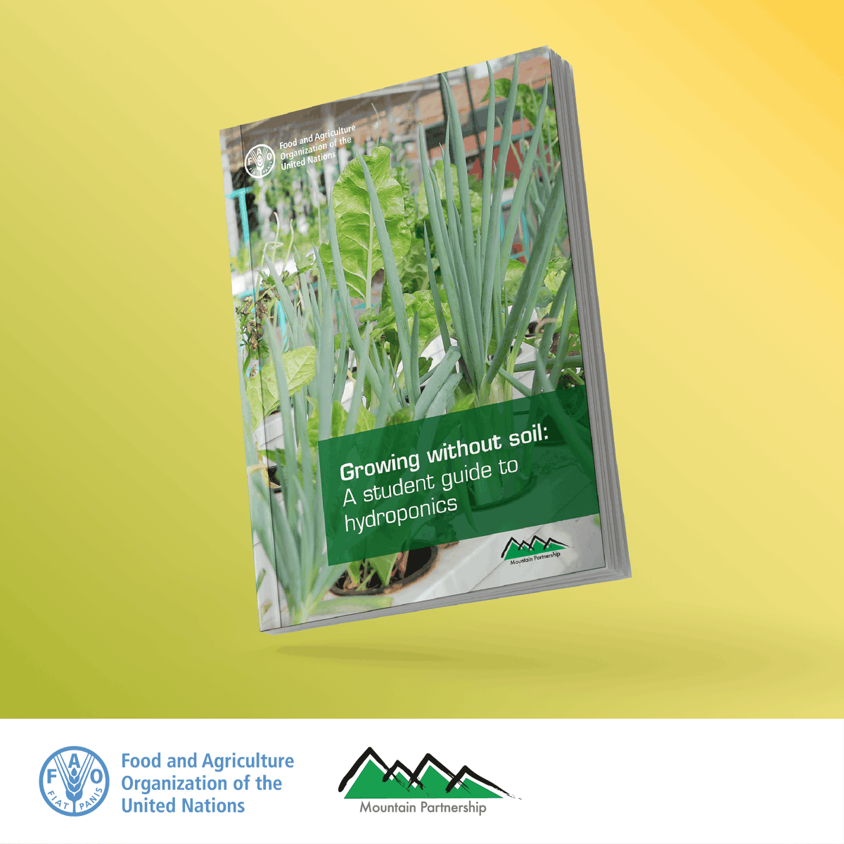 FAOForestry's tweet photo. How can we grow food without soil? 🌱💧

This new @FAO &amp; @UNMountains guide introduces students to hydroponics, combining hands-on learning with insights into sustainable food systems and healthier diets.

🔗 https://t.co/AKH25If5Y5 https://t.co/9lyQtsbzw4