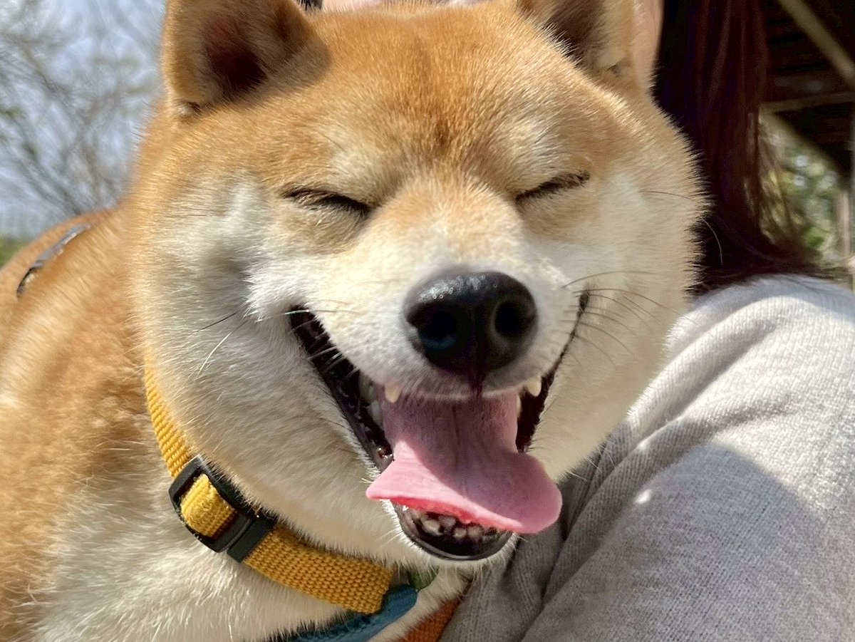 ごんちゃん様　立ち姿あみぐるみ5〜6㎝　豚 ごんちゃん様 ごんちゃん様 立ち姿あみぐるみ5〜6㎝ 豚【公式