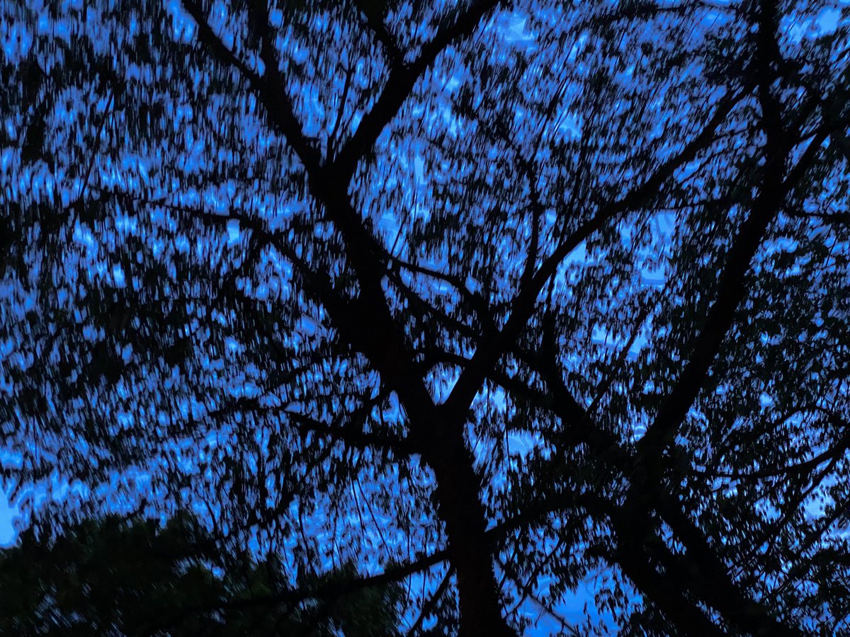 mansebanjaran's tweet photo. silence https://t.co/BKQPyLLLvV