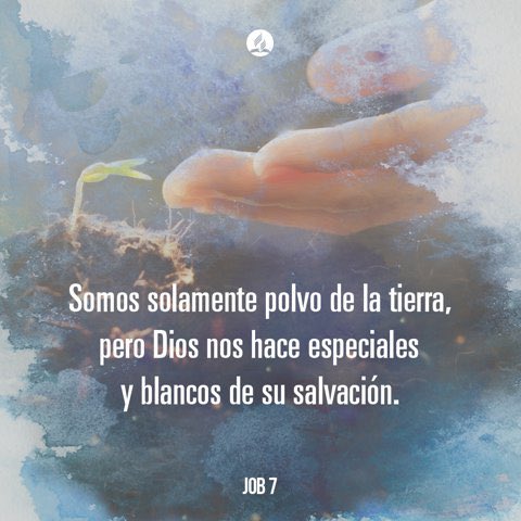 brunoraso's tweet photo. “Jesús viene con su ministerio de sanidad para atender a todo aquel que está abatido. La vida de aflicción, de dolor y de sufrimiento puede ser iluminada por la preciosa manifestación de su presencia” #EGW #Job7 #rpSp
👉 https://t.co/eLcO6TpZkU https://t.co/RHEgUHGoaS