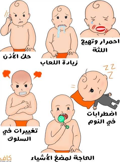 DrHeji_AlZoayed's tweet photo. هل التسنين يسبّب ألم في الأذن؟

د. حجي إبراهيم الزويد 

نعم، قد يسبب التسنين ألمًا يبدو وكأنه في الأذن، لكنه لا يسبب التهاب الأذن نفسه.

ويرجع ذلك إلى أن أعصاب اللثة والأذن تشترك في بعض المسارات العصبية، لذلك قد يشعر الطفل بانزعاج أو ألم ينتقل إلى منطقة الأذن، فيقوم بشدها أو فركها، خاصة عند بزوغ الأضراس.

إذا كان الطفل:

يلمس أذنه أو يشدها.
يحك لثته كثيرًا.
يسيل لعابه أكثر من المعتاد.
لديه تورم أو احمرار في اللثة.
ولا توجد أعراض أخرى مثل خروج إفرازات من الأذن أو ضعف السمع.

فقد يكون السبب هو التسنين.

لكن إذا كان شد الأذن مصحوبًا بـ:

حرارة مرتفعة (خصوصًا أكثر من 38.5–39° م أو تستمر لأكثر من يومين).
بكاء شديد عند الاستلقاء.
خروج إفرازات من الأذن.
رفض الرضاعة أو الطعام بشكل واضح.
استمرار الألم حتى بعد زوال أعراض التسنين.

فهنا ينبغي فحص الطفل للتأكد من عدم وجود التهاب في الأذن الوسطى، لأن هذه الحالة شائعة عند الأطفال وقد تتزامن مع فترة التسنين، فيظن الأهل أن السبب هو الأسنان.