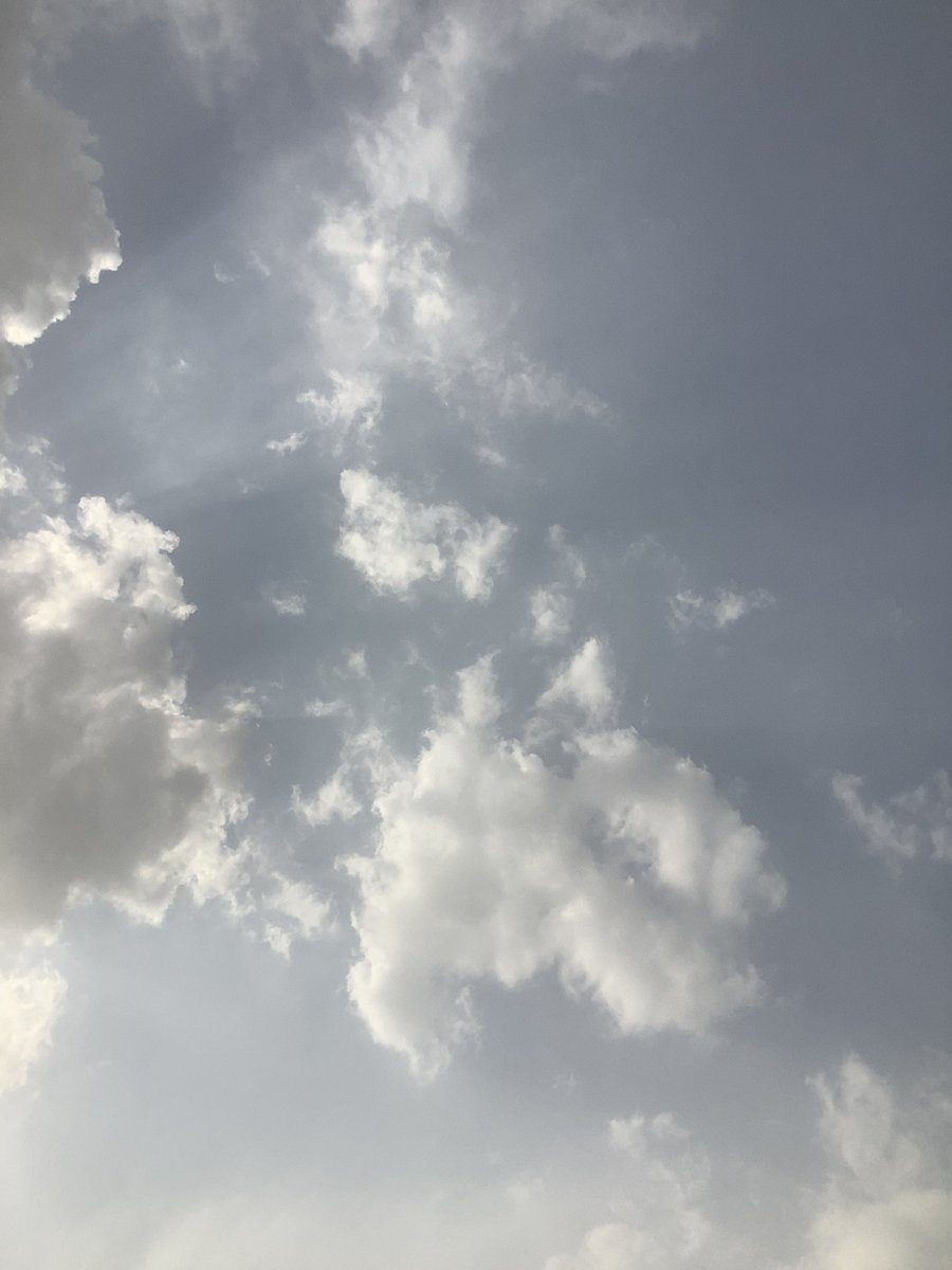 𝓒𝓾𝓻𝓲𝓸𝓾𝓼 .∘❀∘.(𝕾ⓈⓈ) tweet media