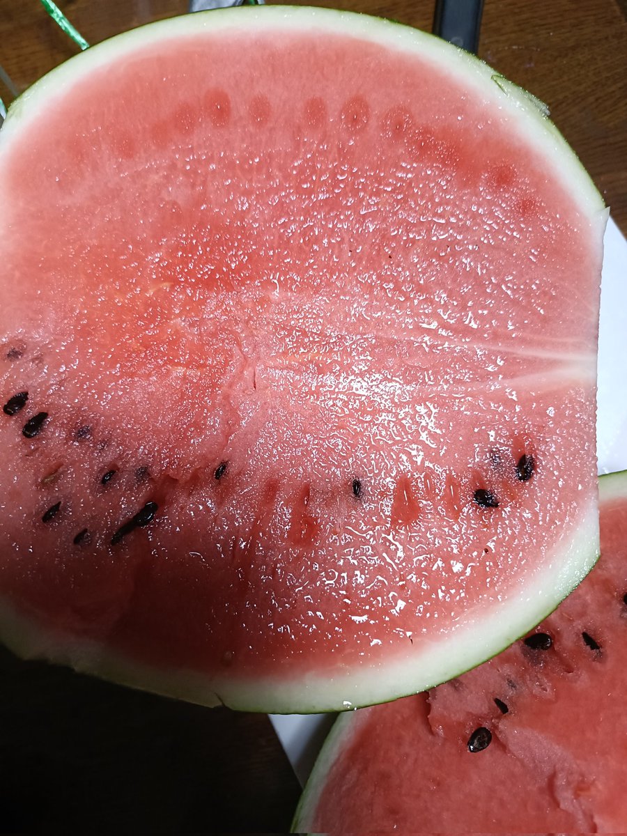 dragons1119's tweet photo. ひとりスイカ割りをしました🍉 https://t.co/EefW7l3XA5