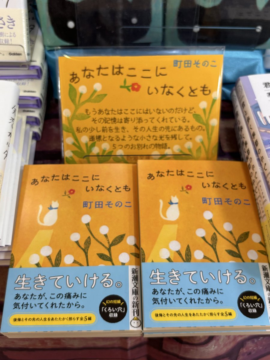 mgu_pan's tweet photo. 『あなたはここにいなくとも』の解説を書いたまゆゆ @mayu_mahihapi からPOPもらった！
私の(勝手に)推し本コーナーに飾ってます。
それにしても、すごいなぁ。 https://t.co/Z8Ly5F3oli