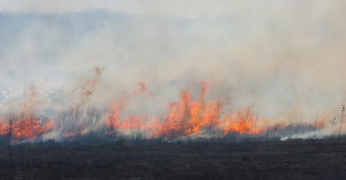 FscAragon's tweet photo. 🚨@CCOO denuncia la falta de plantilla de Agentes para la Protección de la Naturaleza en Aragón
🔥Jornadas extenuantes de más de 24 horas continuadas de trabajo
📢Exigimos negociación INMEDIATA para reforzar la plantilla. ¡La seguridad no puede esperar! 

https://t.co/HpxchO0aqI https://t.co/Ygsr2D64e3