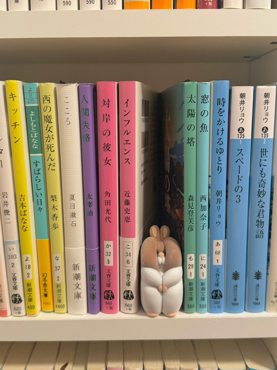 killmiss__'s tweet photo. 欲しかった子、見つけてくれてようやくゲット.｡.:*☆ https://t.co/hW74gDA09W