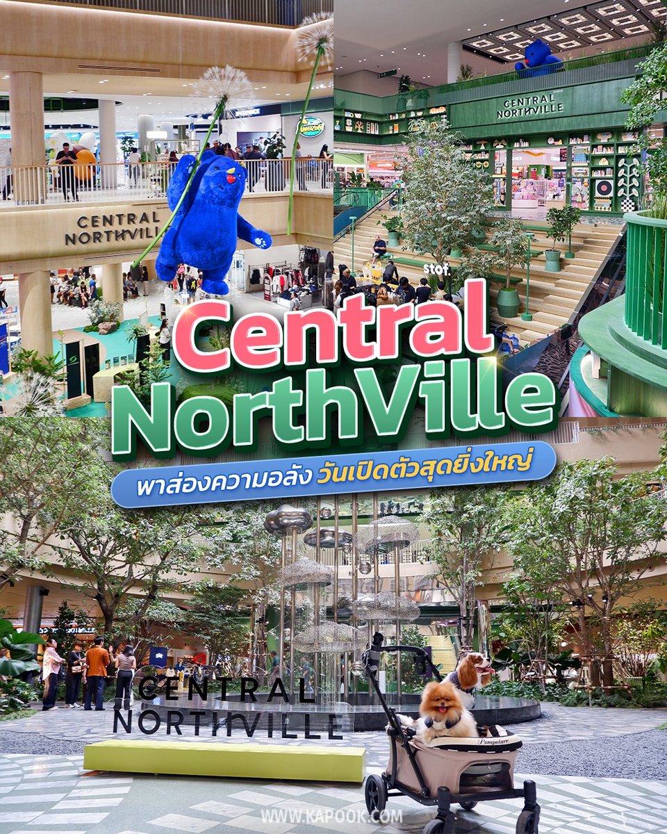 kapookdotcom's tweet photo. Central Northville เปิดแล้ววว 🎉 เดินรอบเดียวคือรู้เรื่อง...ใหญ่มากกก 
ร้านอาหารมาเยอะมาก
- Food Hall กับ Food Ville ทำออกมาสวยและน่าใช้บริการ
- SF Cinema ใหม่ สวยจนอยากหาเรื่องดูหนัง
- Power Buy, B2S, Supersports ใหญ่มาก
- Katsu Midori เปิดพร้อมห้าง
- Fitness First Redefined จัดเต็มทั้ง Pilates และ HYROX
- D-Sport Stadium ใหญ่แบบเด็กน่าจะหมดแรงก่อนกลับบ้าน
- Pet Ville ทำดี คนเลี้ยงสัตว์น่าจะถูกใจ
- สวนด้านนอกสวยกว่าที่คิด ต้นไม้ใหญ่ ร่มรื่นมาก
จัดเต็มทั้งกิน เที่ยว ดูหนัง ออกกำลังกาย พาเด็กเที่ยว พาหมาเดินเล่น สรุปคือ... นนทบุรีมีห้างใหม่ที่น่าเดินอีกที่แล้ว 😆 
#CentralNorthville #เซ็นทรัลนอร์ธวิลล์ #ที่เที่ยวนนทบุรี

ชมภาพเพิ่มเติม : https://t.co/1wOrUBlq1b