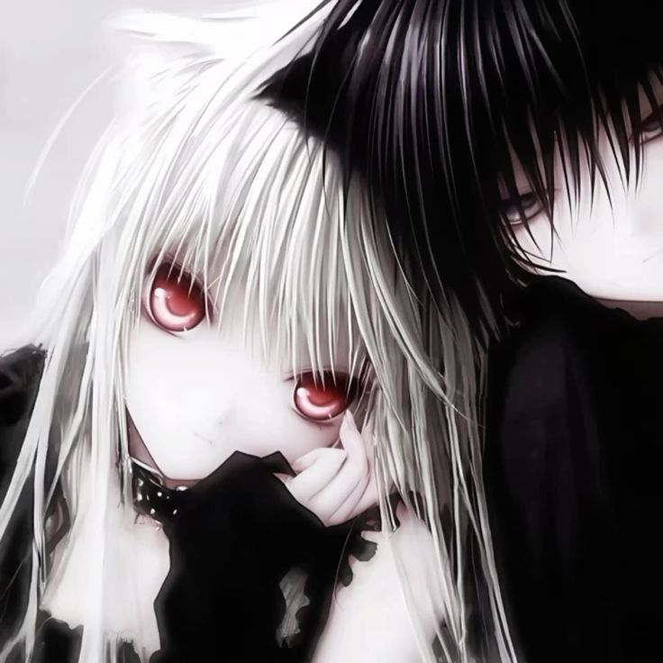 kunostia's tweet photo. https://t.co/5uR3g6bZtp