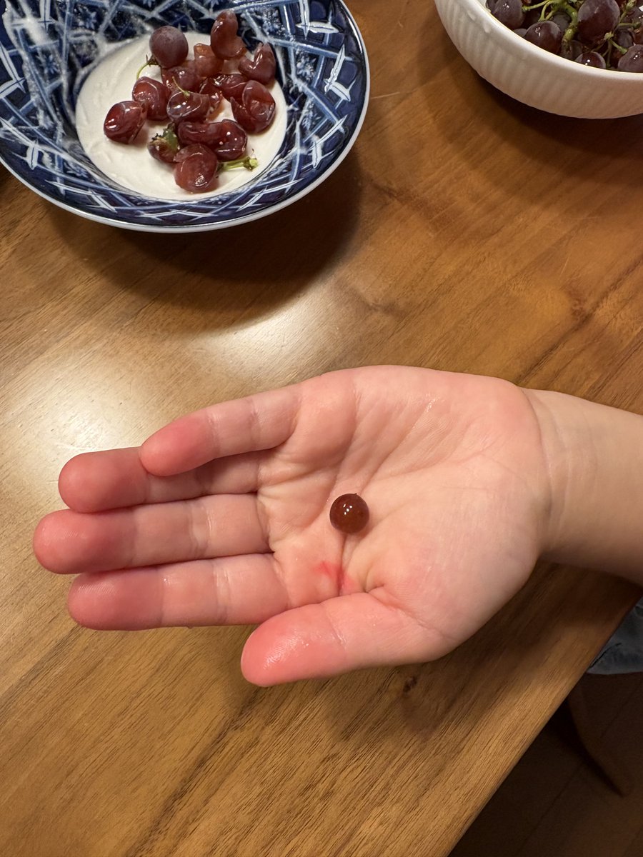 Yuji_K90's tweet photo. お父さん！赤ちゃんぶどう🍇と娘。可愛い🩷と。

男として娘が産まれてくれたのは神様からのギフトだと思う。 https://t.co/h3AERBXVNf