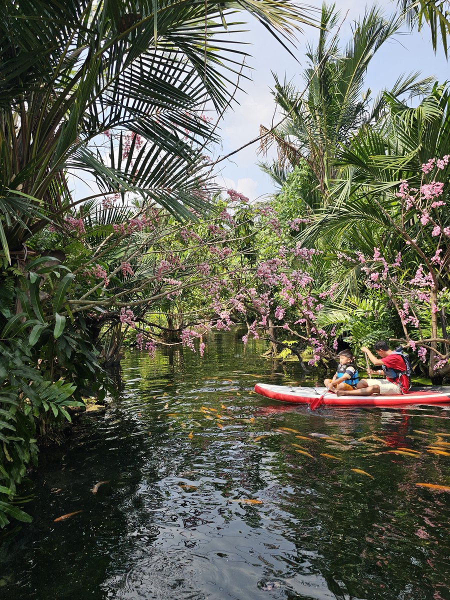 borasauruus's tweet photo. Wes gosong hari ini outdoor mulu https://t.co/qRAuKGMQCJ