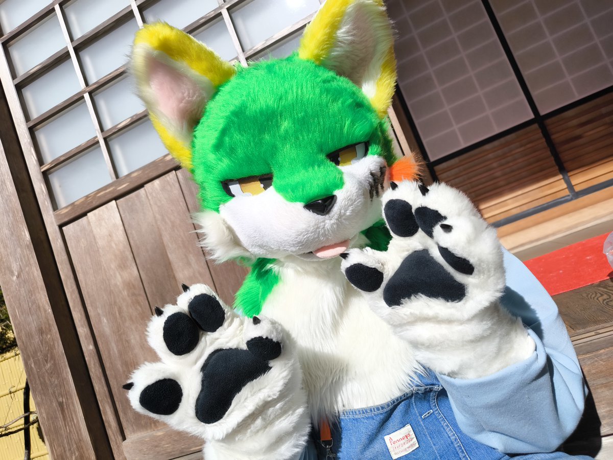 REESHA_rowl's tweet photo. #FursuitFriday

んべっ🐾🐾 https://t.co/p1CQZAzgNi